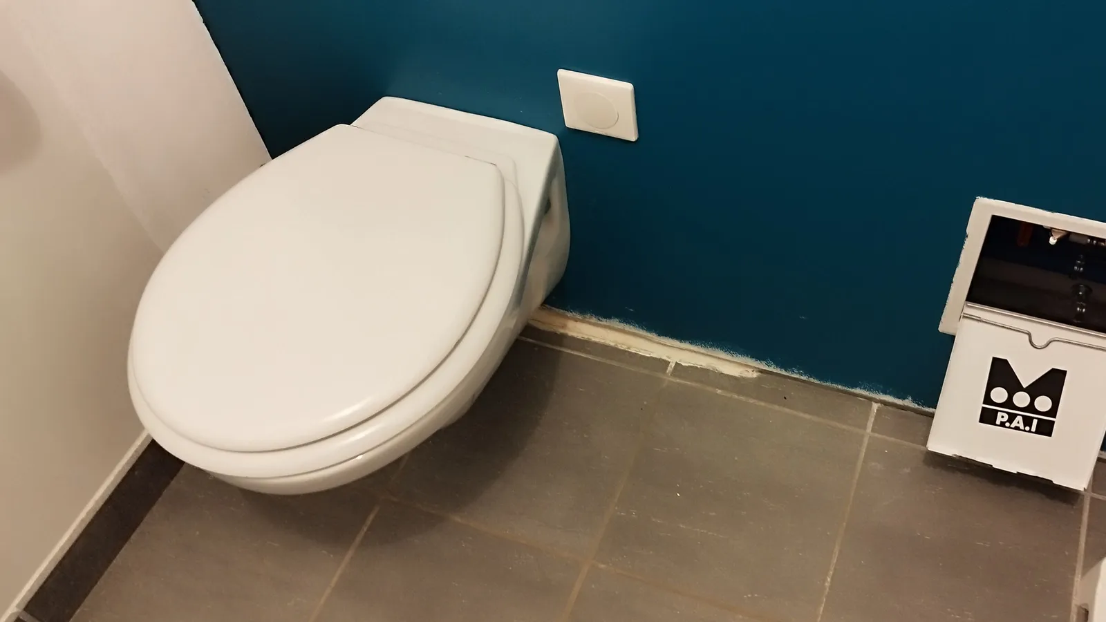 Toilettes bouchées — prévention et solutions
